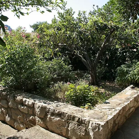 Hvar 4591b * 흐바르