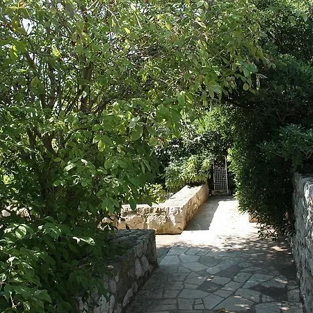 Hvar 4591b 흐바르